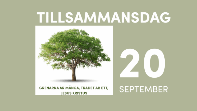 Tillsammansdag