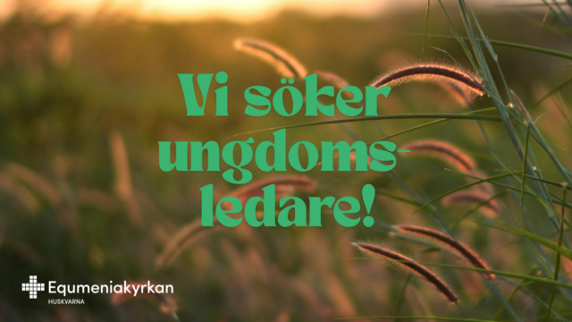 UNGDOMSLEDARE 50%
