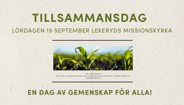 TILLSAMMANSDAG