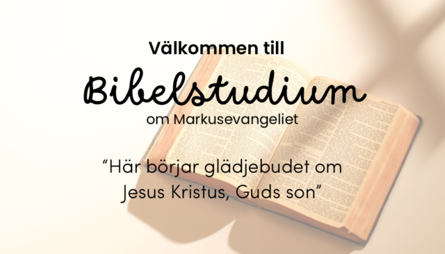 BIBELSTUDIUM